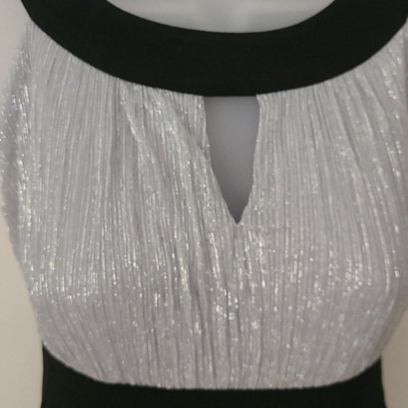 Enfocus Black and Silver Sleeveless Dress - Picture 8 of 8